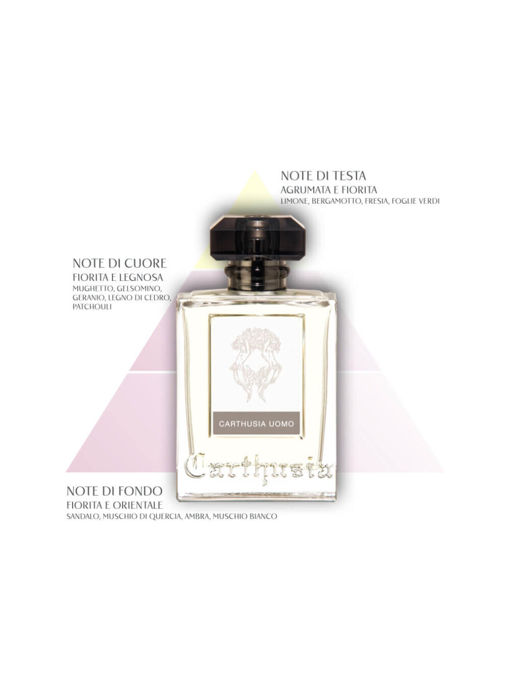 Carthusia Uomo Piramide Olfattiva