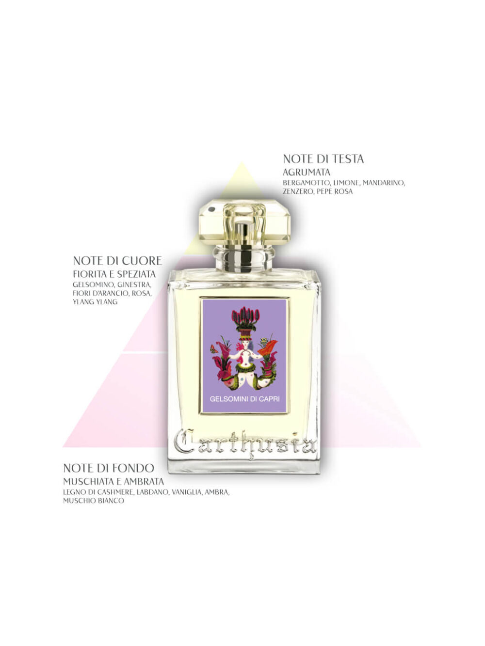 Gelsomini di Capri Piramide Olfattiva