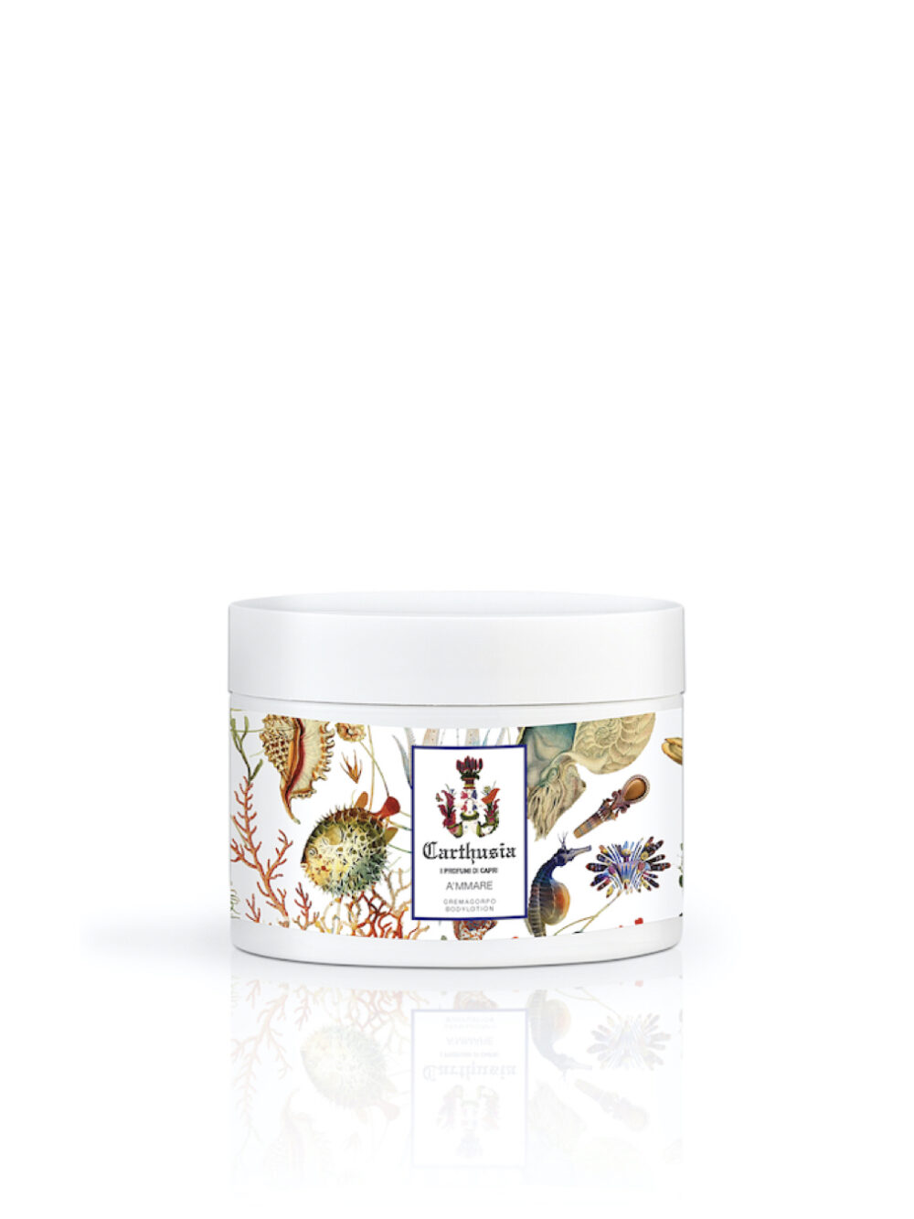 A’mmare – Fluido Corpo