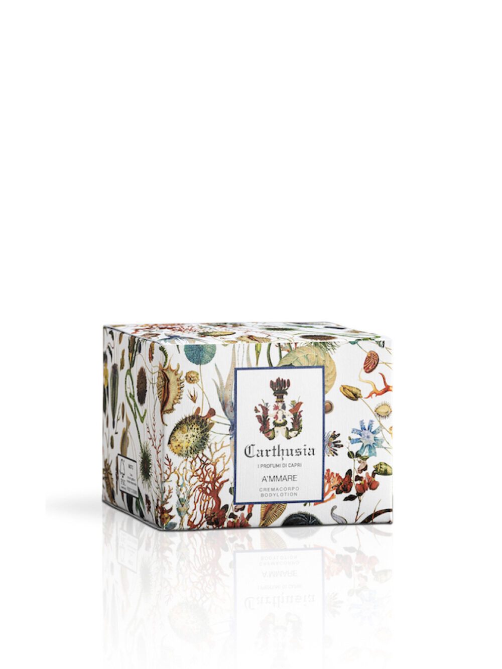 A’mmare – Fluido Corpo