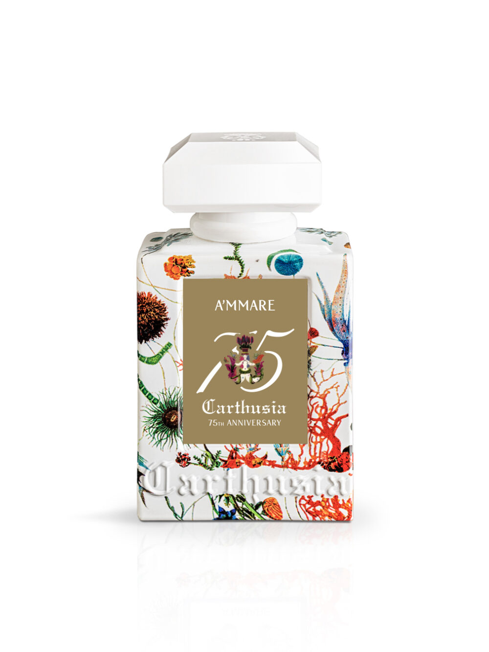 A'mmare - 75 Limited Edition